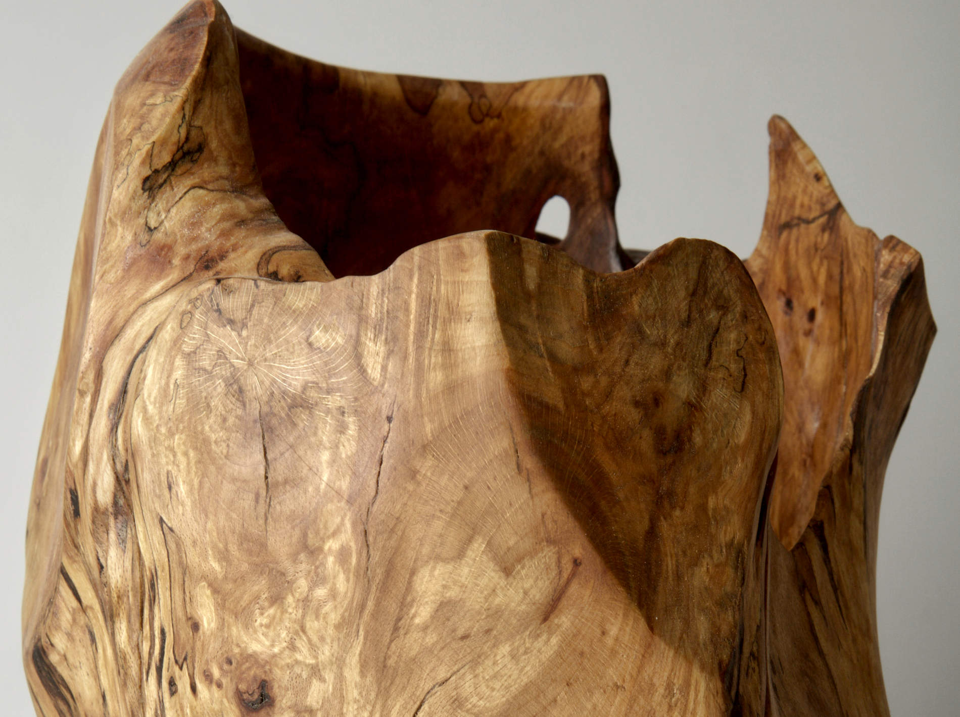 Orlando Donic Gualtieri - Sculpted Vessel in Spalted Beech
